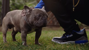 2 Chainz Mourns His Dog Trappy Goyard: ‘I’m Crushed Like a Mf’