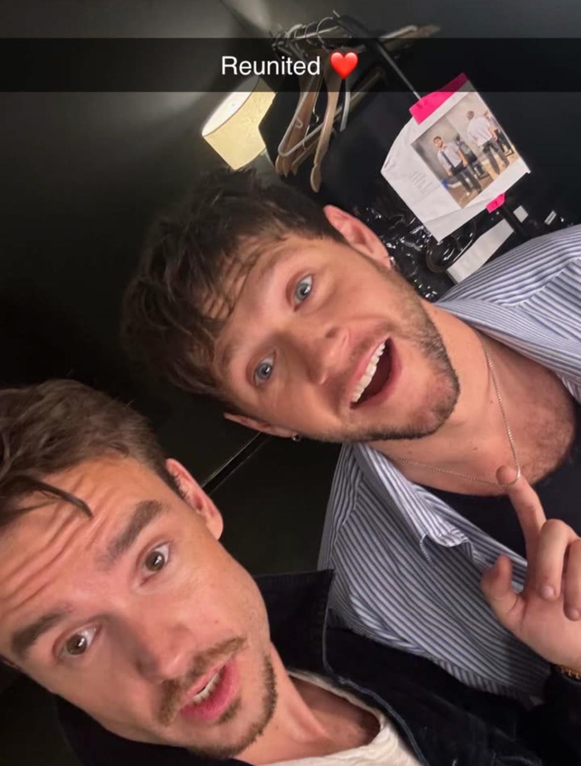 Liam Payne Attended Former 1D Bandmate Niall Horan s Concert Earlier This Month Been a While 784 812