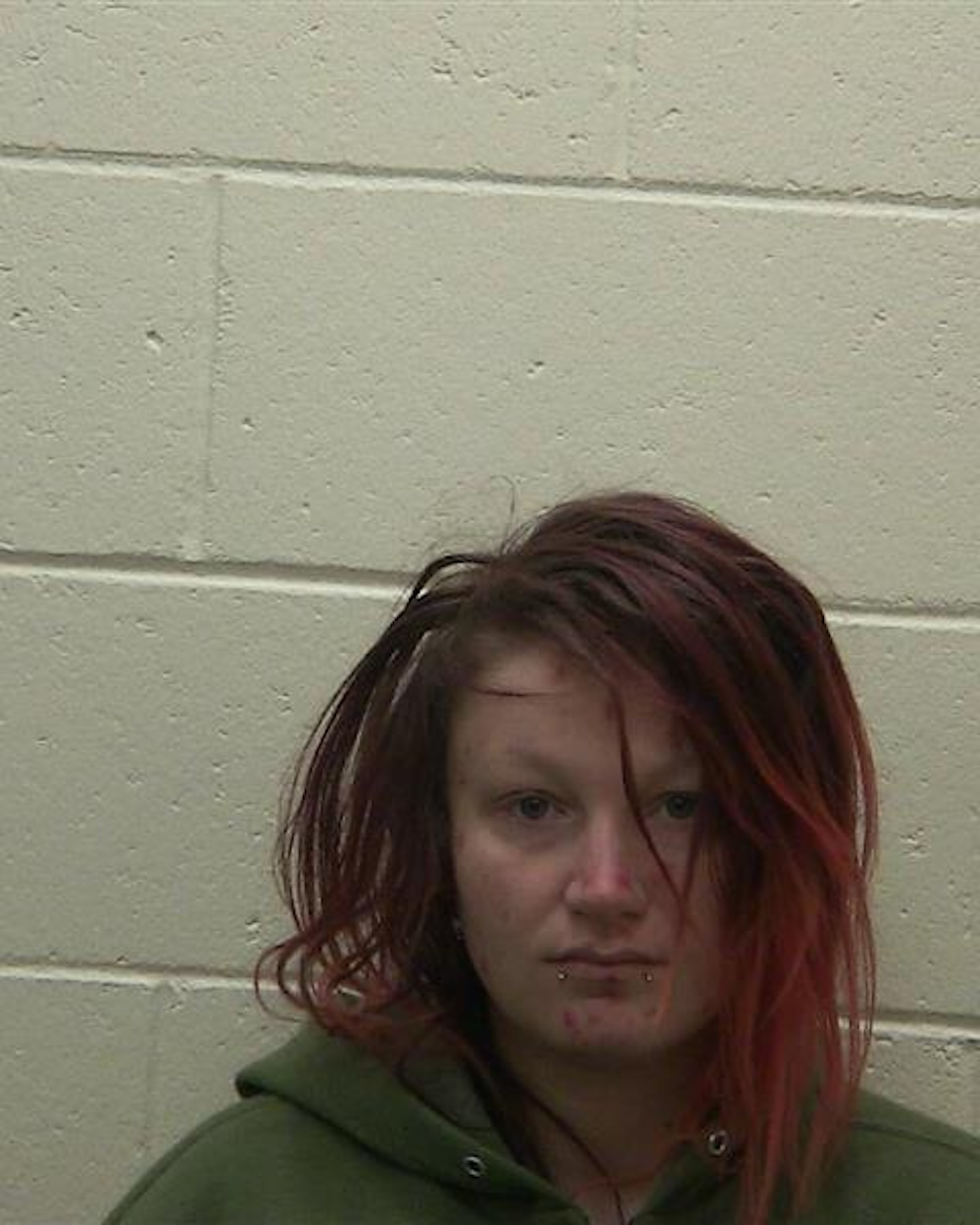 Rosie O Donnell's Daughter Chelsea Arrested for a 2nd Time Within Days