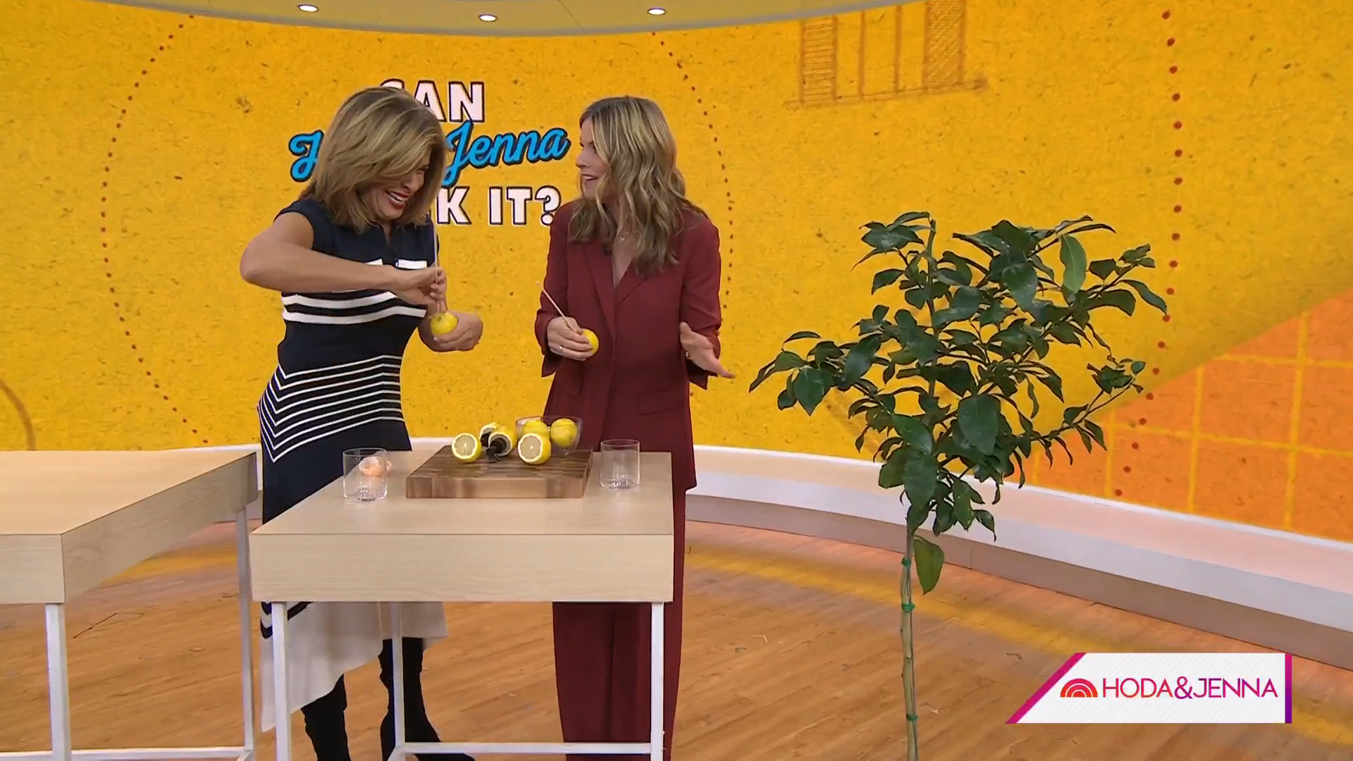 The Biggest Moments From Hoda Kotb Final Week A Sweet and Sour Gift 1