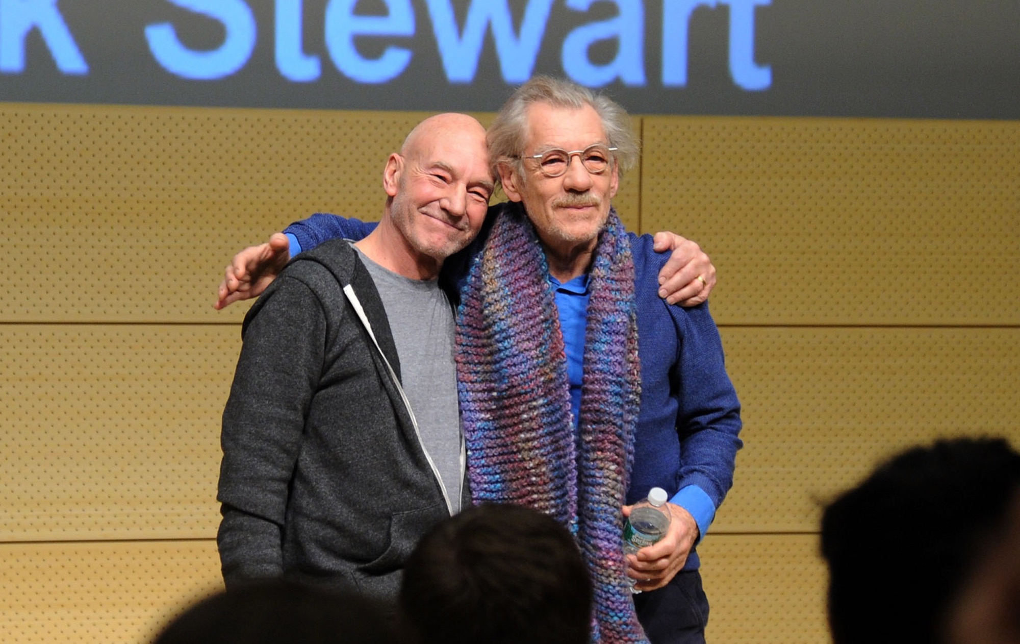 Ian McKellen Pays Tribute to Longtime Friend Patrick Stewart After His Death at 86 Inline